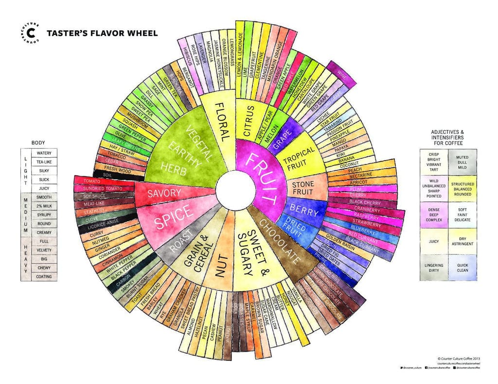 Taster's Flavor Wheel