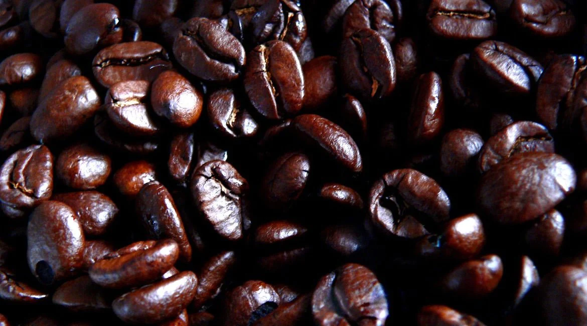 Brasilien Kaffee: Das schwarze Gold aus Südamerika