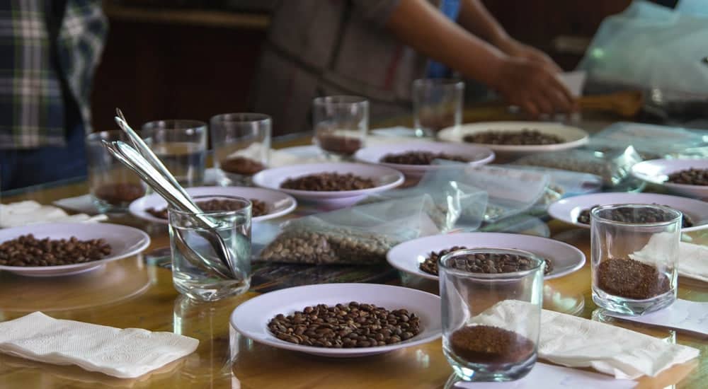 Kaffeekultur Kaffeetrends Cupping in Asien